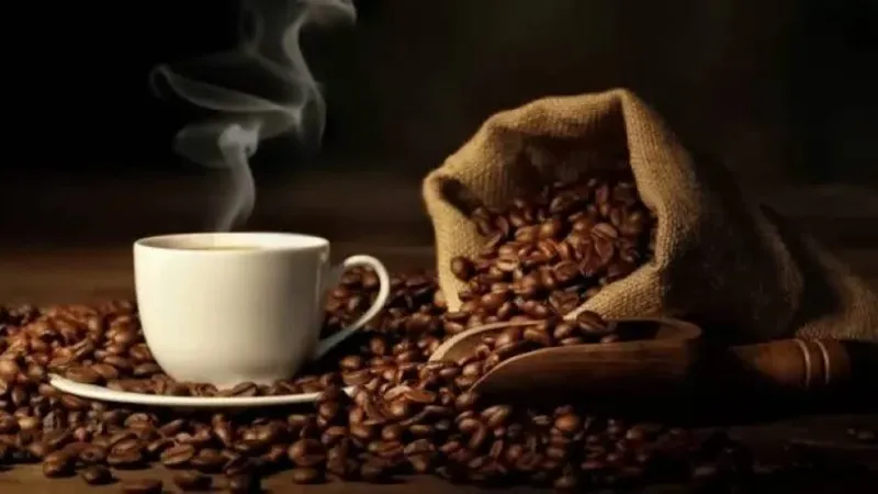 منها تقليل خطر الإصابة بالسرطان.. طبيبة تكشف فوائد وأضرار القهوة الصباحية
