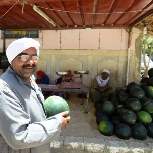 "البطيخ المسرطن".. الزراعة المصرية ترد على "شائعة كل عام"!