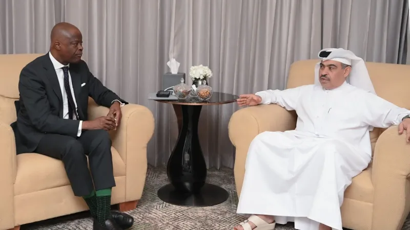 وزير المالية يجتمع مع نظيره النيجيري
