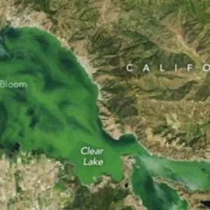 عمرها 500 ألف عام.. لماذا تحول لون أكبر بحيرة في كاليفورنيا إلى الأخضر؟
