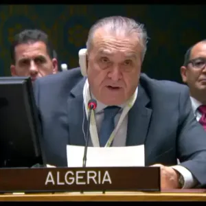 لهذه الأسباب صوتت الجزائر لصالح قرار وقف إطلاق النار