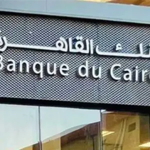 عاجل:
        
        
             حصري
            
        
            رئيس بنك القاهرة للعربية: تنازلات الدولار تضاعفت 10 مرات منذ تحرير سعر الصرف