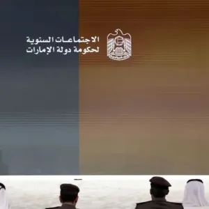 الإمارات تطلق برنامج "تصفير البيروقراطية الحكومية" لتبسيط وتقليص الإجراءات
