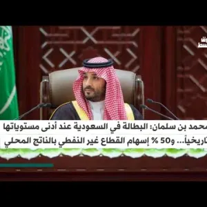 ولي العهد السعودي: المملكة من أكبر مخازن الثروات الطبيعية في العالم