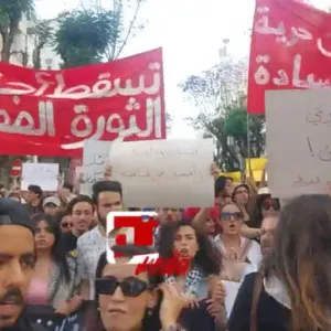 عشرات الشبان ينظمون مسيرة بالعاصمة للمطالبة بإلغاء المرسوم 54 وإيقاف محاكمات الصحفيين والمدونين