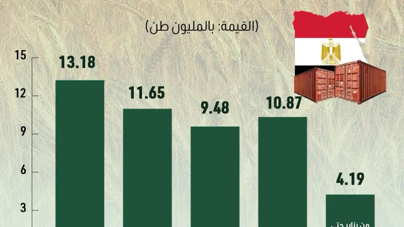 مع تراجع أسعاره عالمياً منذ بداية 2024.. مصر تتوسع في استيراد القمح