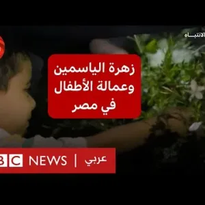 تحقيق لبي بي سي يكشف ارتباط صناعة العطور الفاخرة بعمالة الأطفال في مصر
