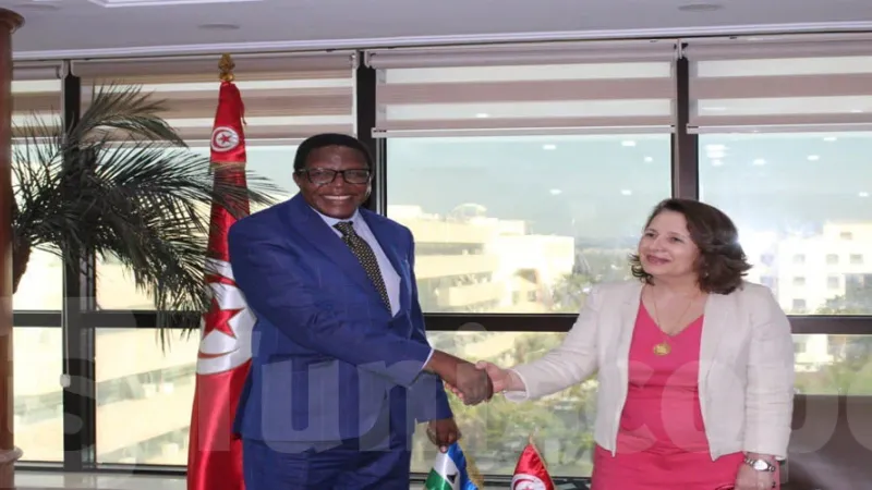 نحو تعزيز التعاون بين تونس ومملكة ليسوتو في مجال الكهرباء