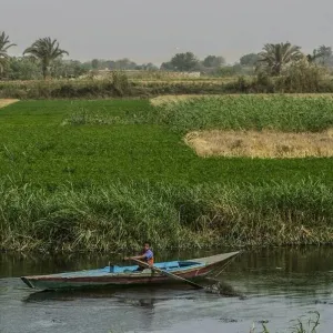 "الزراعة": الدولة أضافت 2 مليون فدان للرقعة الزراعية المصرية