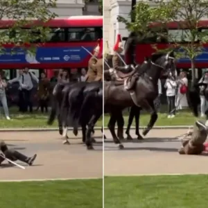 شاهد.. حصان يقذف عسكري بريطاني ويسقطه على الأرض أثناء عرض عسكري في لندن