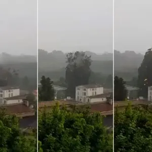 شاهد: عاصفة برق تشطر شجرة نصفين في فرنسا