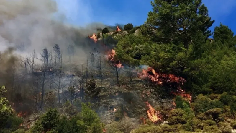 تركيا تكافح حرائق غابات اندلعت في عدة ولايات