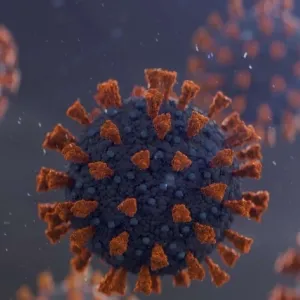 معلومات صادمة عن وباء مرتقب يهدد البشرية.. «أخطر من كورونا 30 مرة»