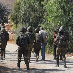 الاحتلال يعتقل شابا في يطا ويستولي على أغنام في بني نعيم