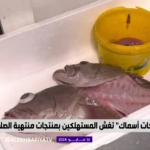 شاهد.. لحظة مداهمة التجارة لشركة أسماك كبيرة في الرياض وضبط 264 طن منتجات فاسدة