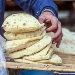 وزارة التموين: سعر الخبز السياحي والفينو ثابت في الأسواق دون زيادة