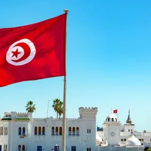 محكمة تونسية تقضي بحبس محامية لإدانتها بالسخرية من حال البلاد