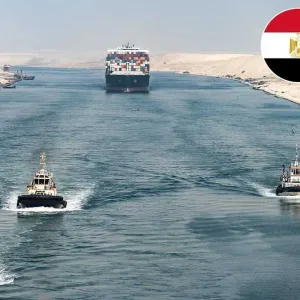 مصر: خسائر قناة السويس.. تجاوزت 60 %