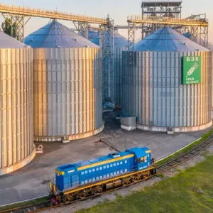 متعاملون: الجزائر تطرح مناقصات دولية لشراء علف الصويا والذرة