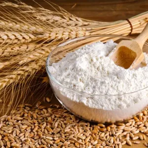 مصر تدرس استيراد القمح من 3 أسواق جديدة