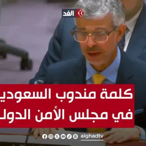 كلمة مندوب #السعودية في مجلس الأمن بشأن إلزام إسرائيل بالقرارات الأممية لوقف إطلاق النار في #غزة #قناة_الغد #فلسطين