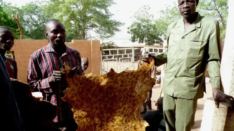 النعال الجلدية في النيجر.. تراث تقليدي وصناعة رائدة