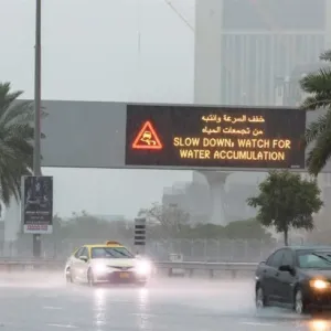 بعد منخفض الهدير.. ماذا يعني هطول 254 ملم من الأمطار على الإمارات