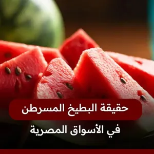 ما هي حقيقة البطيخ المسرطن في الأسواق المصرية؟