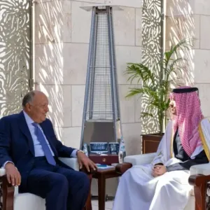 وزيرا خارجية قطر ومصر يستعرضان تطورات الأوضاع في قطاع غزة