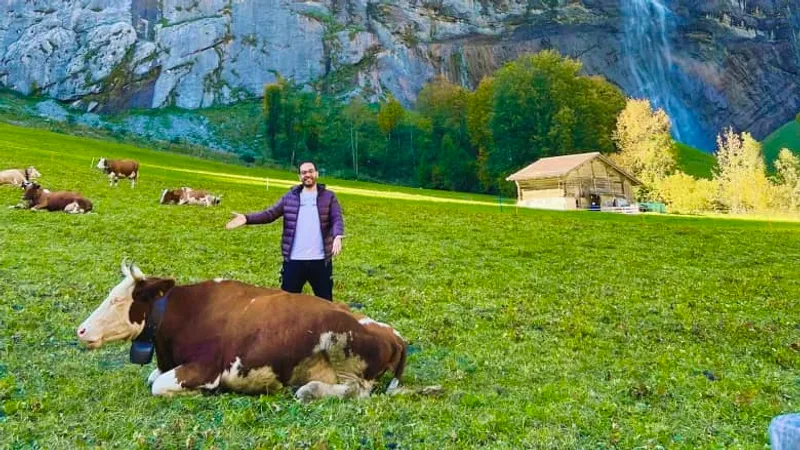 "بترول سويسرا"..مصري يكشف عن أغرب حقوق الأبقار في أوروبا