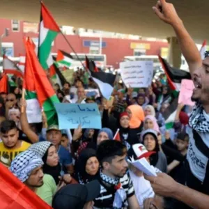 "السياسية الفلسطينية" في أوروبا: لمحاسبة "أبواق التحريض" ضد شعبنا في لبنان