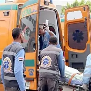 بالأسماء.. إصابة 8 أشخاص في انقلاب سيارة بصحراوي المنيا
