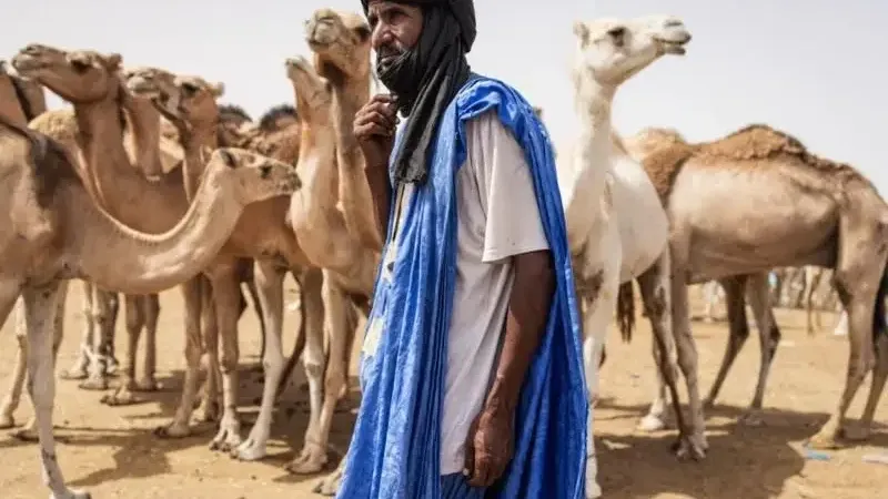 إعادة انتخاب محمد ولد الغزواني رئيسا لموريتانيا- نتائج أولية