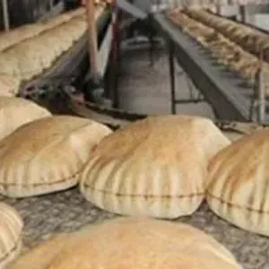 انخفاض أسعار الخبز السياحى والفينو 35% بعد تراجع سعر الدقيق