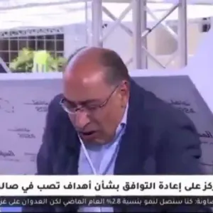 شاهد.. سقوط لوحة إعلانية على رأس وزير أردني سابق خلال لقاء تليفزيوني