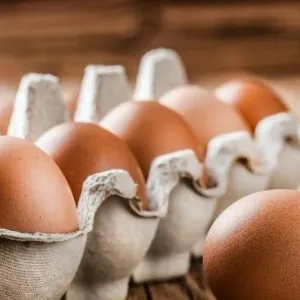 تراجع جديد في أسعار البيض اليوم الجمعة 26-4-2024
