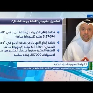 الرئيس التنفيذي للشركة السعودية لشراء الطاقة: نركز على تكاليف الإنتاج ونطرح مشاريع الطاقة المتجددة