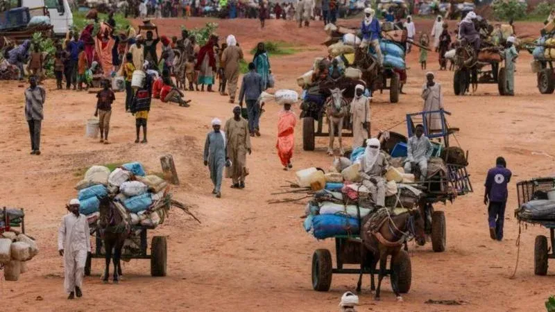 "العالم يتجاهل خطر حدوث إبادة جماعية في السودان" مسؤولة أممية في دارفور