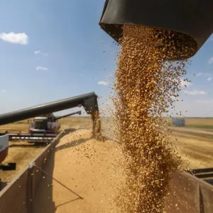 روسيا تحكم سيطرتها على الحبوب مع ارتفاع أسعار القمح