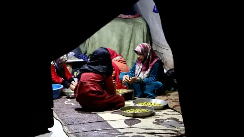 كعك العيد.. تراث يحافظ عليه السوريون في مخيمات النزوح