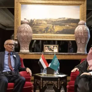 وزير الخارجية يلتقي وزير خارجية السودان المكلف