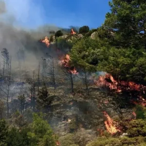 تركيا تكافح حرائق غابات اندلعت في عدة ولايات