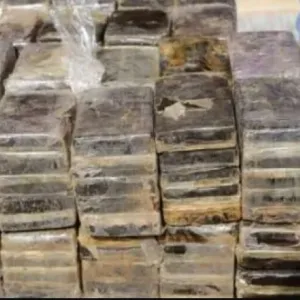 ضبط عاطلين بتهمة الاتجار في المواد المخدرة بالإسكندرية