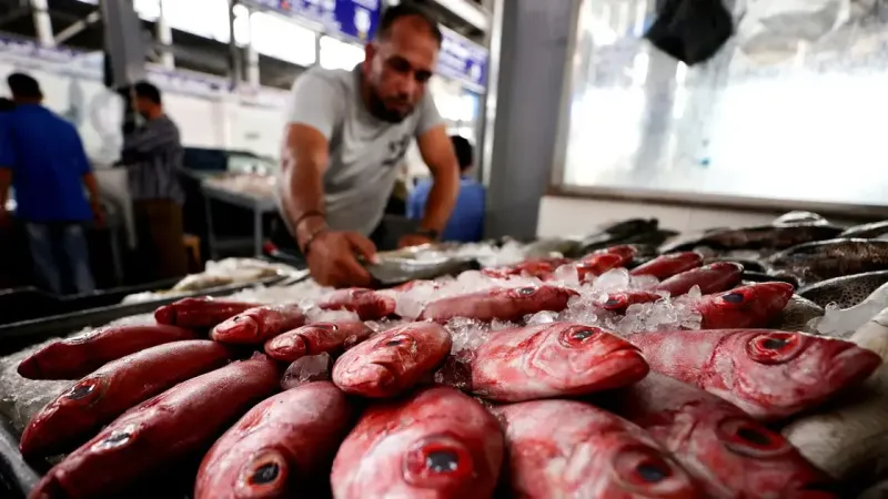 بدأت بالأسماك ثم اللحوم.. المصريون يطاردون جشع تجار السلع بسلاح المقاطعة