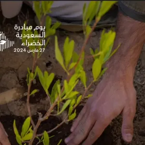 27 مارس.. يوم مبادرة السعودية الخضراء للتوعية بأهمية العمل البيئي