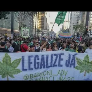 مظاهرات في البرازيل لدعم تشريع الماريجوانا
