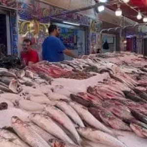 أسعار الأسماك فى الأسواق اليوم تسجل استقرارًا ملحوظًا
