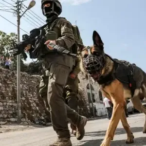 إسرائيل تعترف بفشل كلابها المدربة في مواجهة "كلاب" المقاومة الفلسطينية