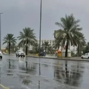 الأرصاد عن طقس الأحد.. أمطار رعدية ورياح نشطة على عدة مناطق