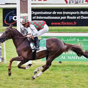 10 خيول تتنافس على كأس الوثبة في فرنسا